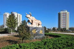 邢臺經(jīng)濟(jì)結(jié)構(gòu)轉(zhuǎn)型升級研究