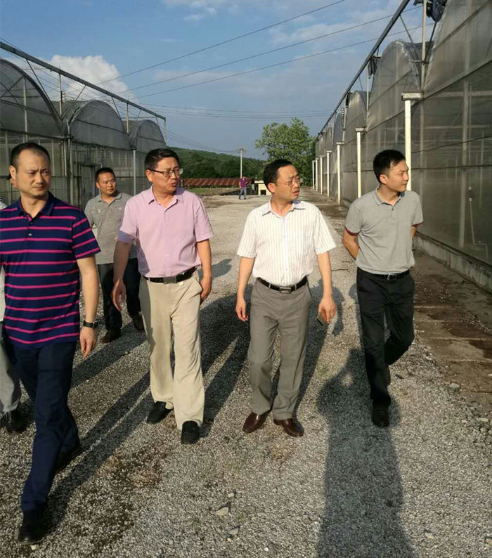 院長(zhǎng)李文輝在湖南宜章經(jīng)開(kāi)區(qū)及農(nóng)業(yè)科技園進(jìn)行調(diào)研