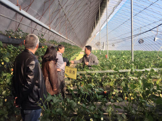 遼寧省東港市創(chuàng)建省級(jí)農(nóng)業(yè)高新技術(shù)產(chǎn)業(yè)開(kāi)發(fā)區(qū)揭開(kāi)序幕