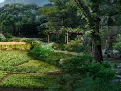 “十四五”開局之年，中國發(fā)展新引擎何在？