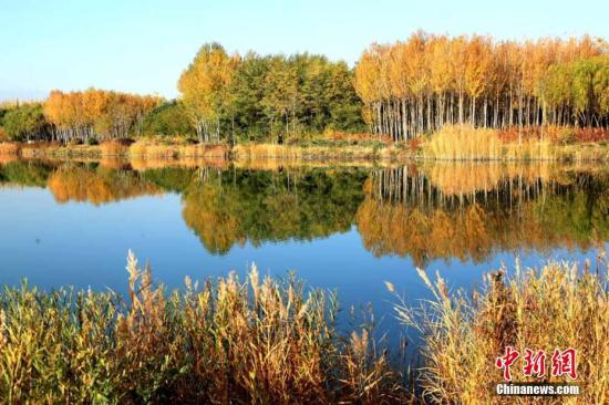 甘肅經濟觸底求變：打好特色牌，多拿單打冠亞軍