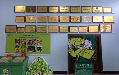 “芒果百色，香飄百地” 國內首家芒果精深加工特色產業基地申報進行時