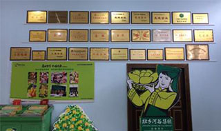 “芒果百色，香飄百地” 國內首家芒果精深加工特色產業基地申報進行時