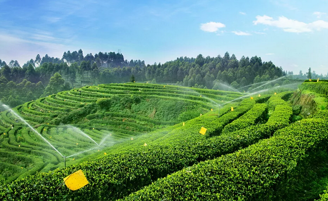 2019年國家先給錢后建設的4類農業產業項目，最多補貼1個億