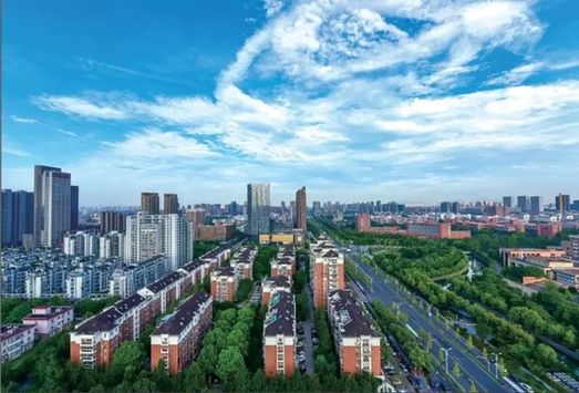 嘉興經(jīng)開區(qū)大力推進“綠城花海”建設