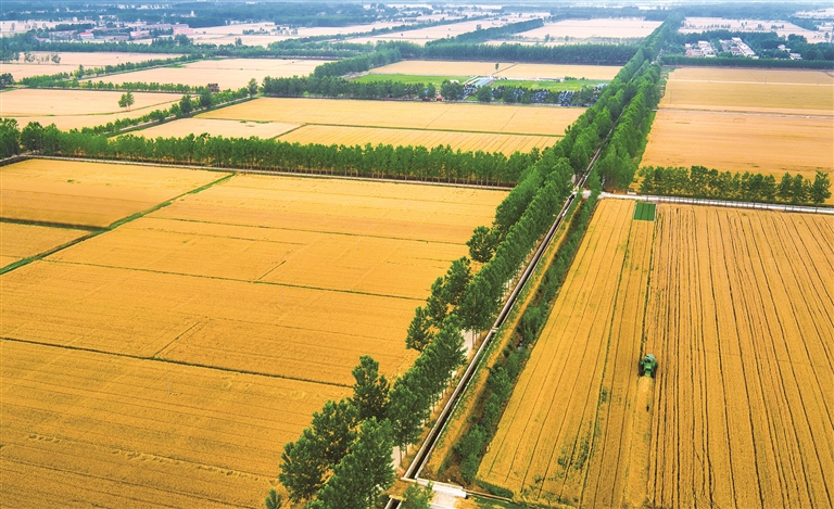 江蘇：魚米之鄉(xiāng)，鄉(xiāng)村產(chǎn)業(yè)動(dòng)能澎湃