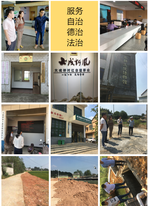 我院助力大成橋鎮(zhèn)爭(zhēng)創(chuàng)全國鄉(xiāng)村治理示范鎮(zhèn)