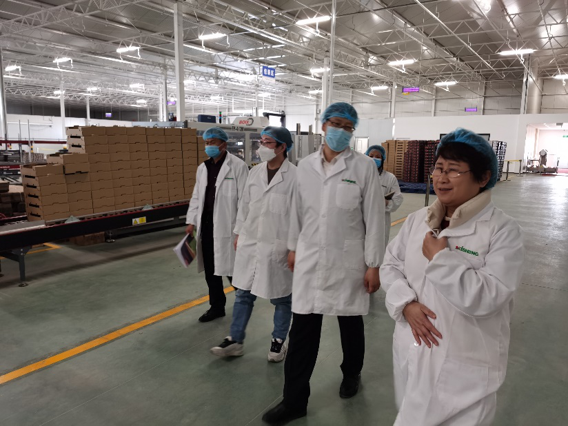 依托非耕地高效設施農(nóng)業(yè)，民樂縣著力打造特色戈壁農(nóng)業(yè)國家現(xiàn)代農(nóng)業(yè)產(chǎn)業(yè)園