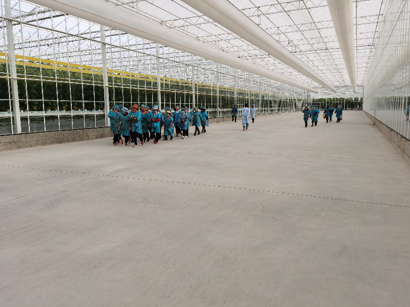 依托非耕地高效設施農(nóng)業(yè)，民樂縣著力打造特色戈壁農(nóng)業(yè)國家現(xiàn)代農(nóng)業(yè)產(chǎn)業(yè)園