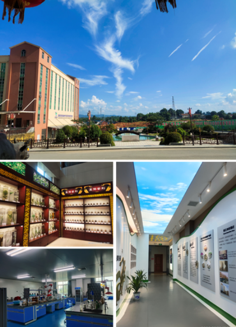 創建省級高新區，鶴城工業集中區邁入高質量發展快車道