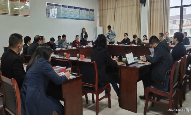 集聚頭腦風暴，為高質量編制桃江“十四五”規劃建言獻策