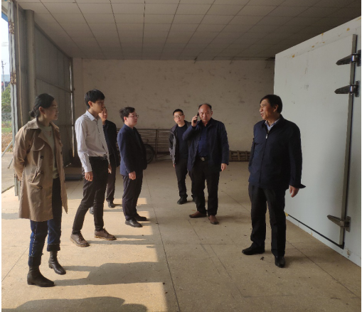 黃花菜里定乾坤，祁東縣全力爭創國家現代農業產業園