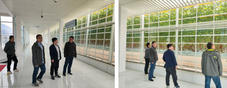 加強農(nóng)業(yè)產(chǎn)業(yè)布局規(guī)劃，民樂縣向農(nóng)業(yè)強縣進發(fā)