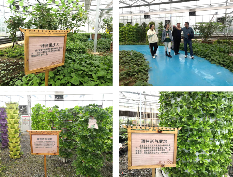 晉之源果蔬再啟航，曲沃開啟國家農業現代化示范區新征程